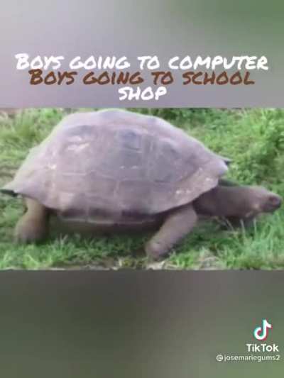 Pa ap bot