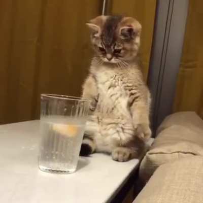 Touch The lemon