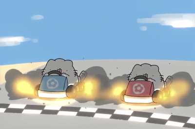 Cat Car Race!