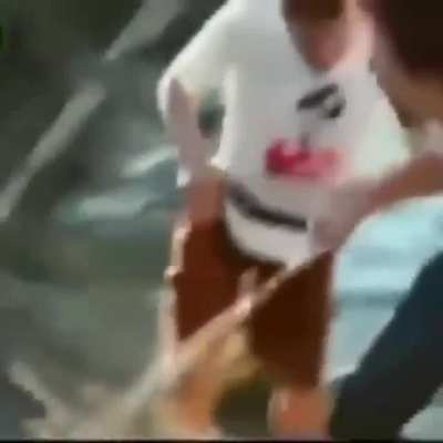 WTF 😳