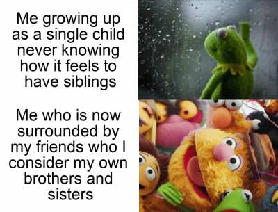 They are family in my eyes.