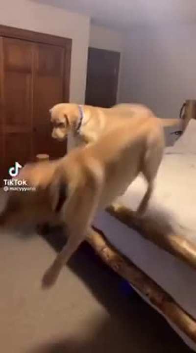 Oh boy he bouncing
