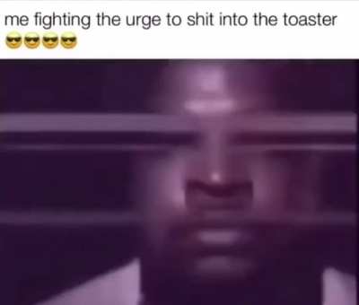 The Fight