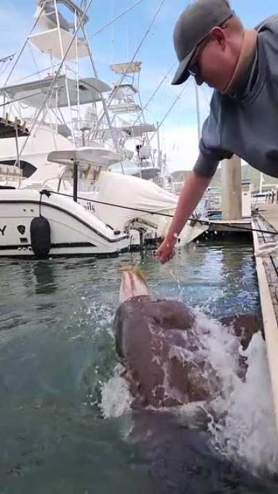 Stay away from the waters edge