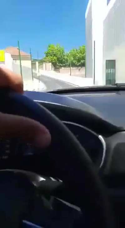 Muitos falam da engenharia BR, mas já viram a engenharia Portuguesa ?