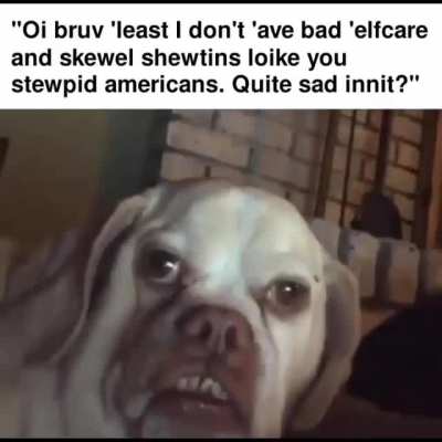cursedmemes - Video #4583
