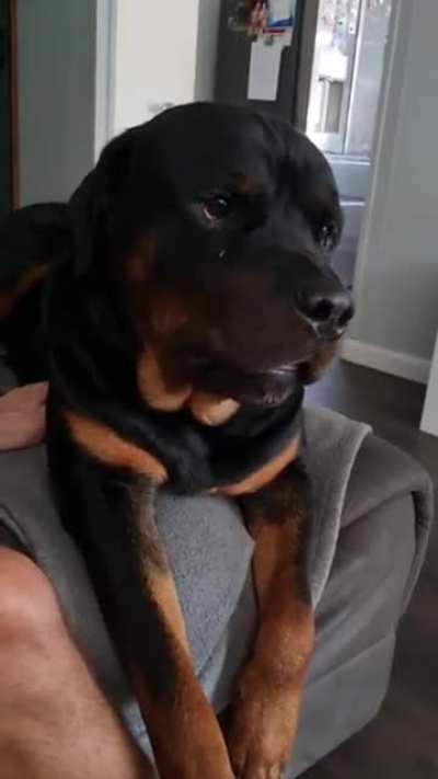 He's looking at me