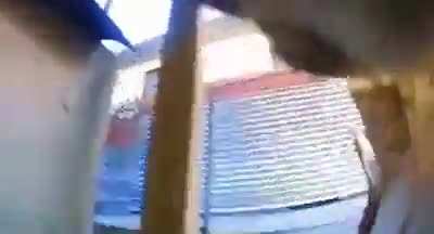 This cat collects trash and brings it home... so they attached a small camera on the collar to record it