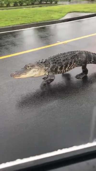 This is a traffic jam in Lakeland.
