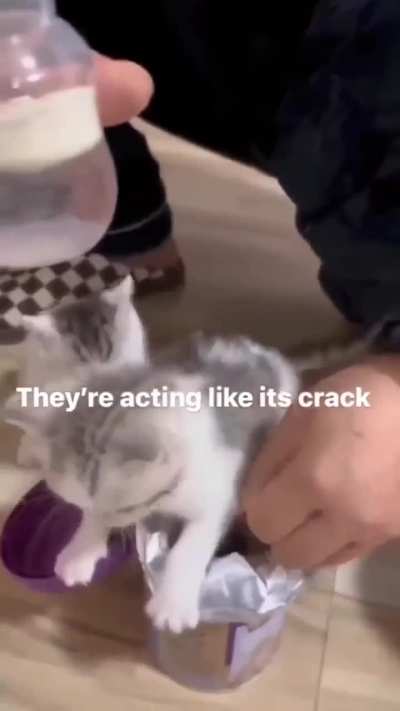 Addicted  wunk s