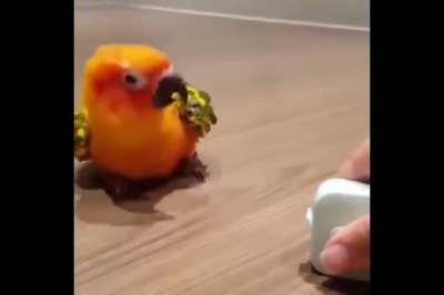 ERROR