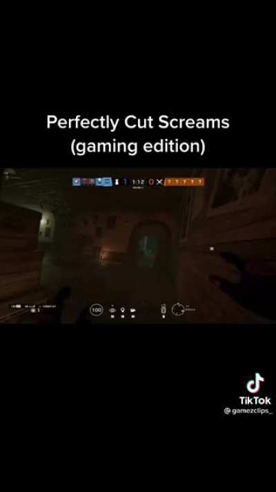 This TikTok I stumbled upon