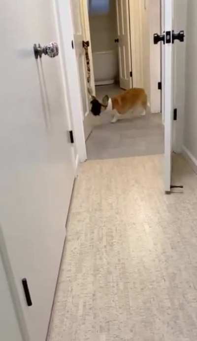 such a helpful, and good girl