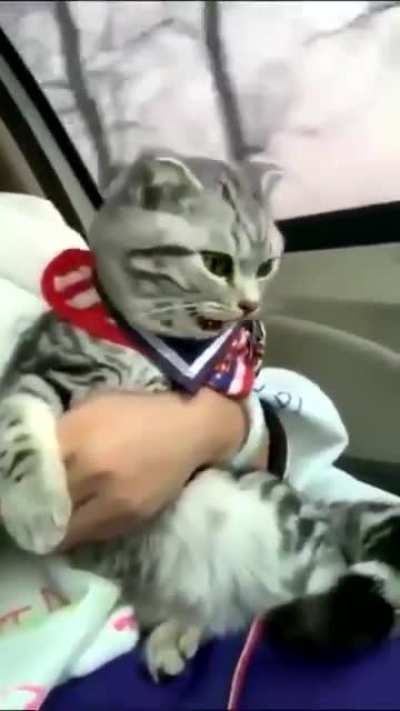 Car Ride!!