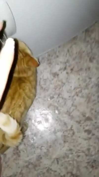 Музыкальная пауза