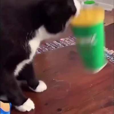 Weee