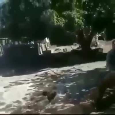 Jake Paul vs Floyd Mayweather be like