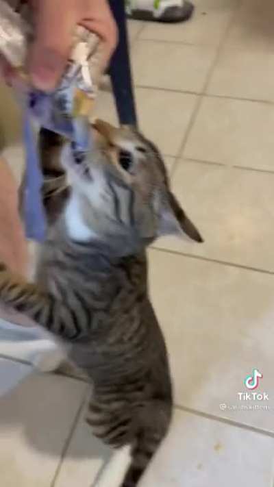 Mine