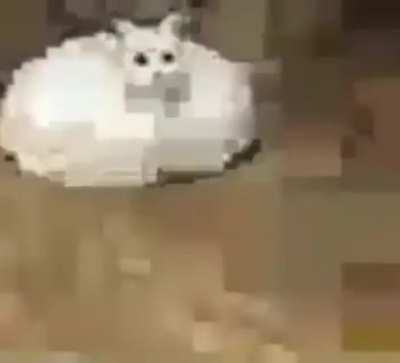 I fucking hate my life