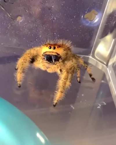 Oh, didn’t see you there!