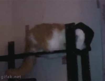 Smooth criminal