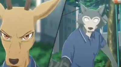 Furry_irl