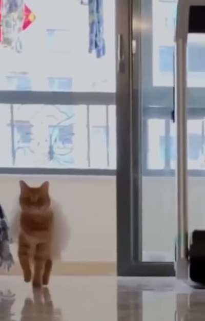 On pointe