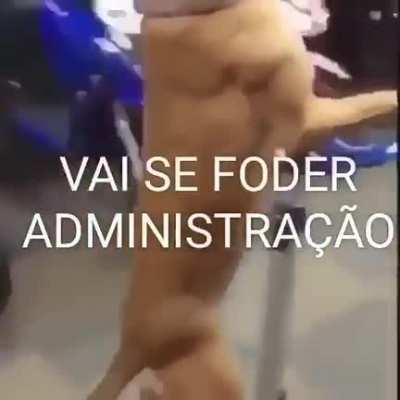 😎