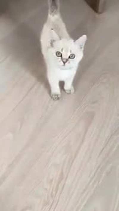 aaaaa... A҉҉̦̣̤͔̟̩̋̿̏ͦ̈́̍͟͠A҉҉̦̣̤͔̟̩̋̿̏ͦ̈́̍͟͠A҉҉̦̣̤͔̟̩̋̿̏ͦ̈́̍͟͠A҉҉̦̣̤͔̟̩̋̿̏ͦ̈́̍͟͠A҉҉̦̣̤͔̟̩̋̿̏ͦ̈́̍͟͠A҉҉̦̣̤͔̟̩̋̿̏ͦ̈́̍͟͠