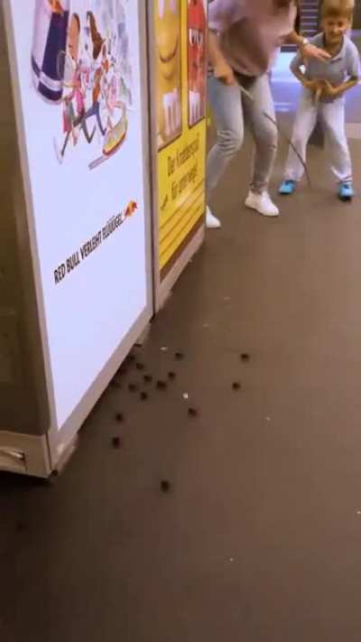Run Run Run!