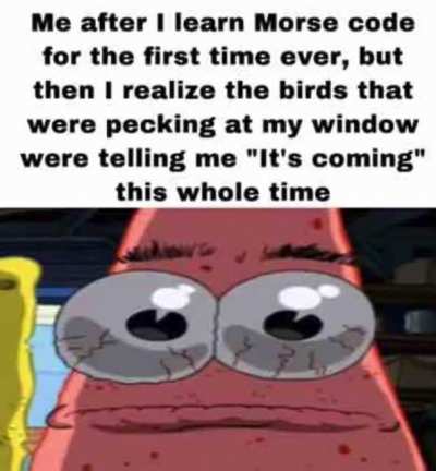 I’m a bird