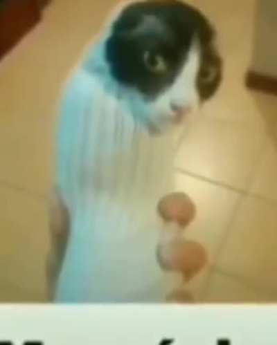 Maurício..