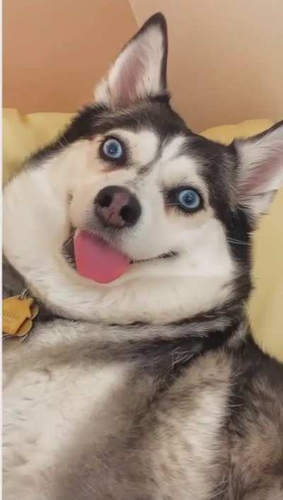 He’s just installing an update