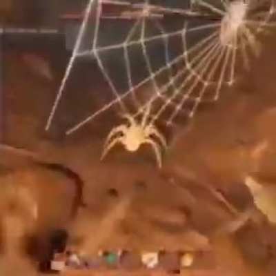 the giant enemy spider