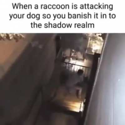 I think it deserved it.