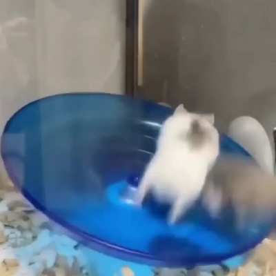 Must go faster