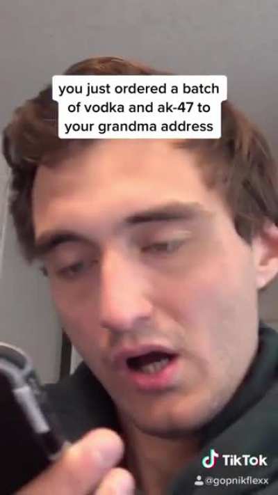 Russian Siri