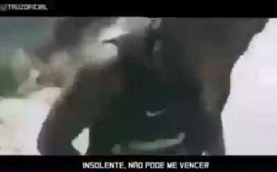 nego nay