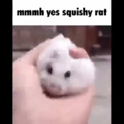 Rule