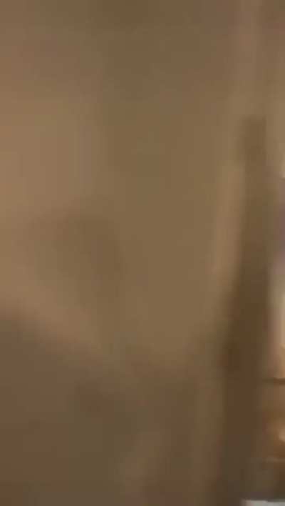 Freakout in Miami