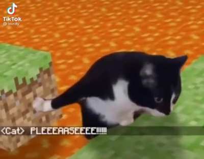 Help my friend pushed my cat into the lava :(