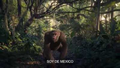 soy de mexico