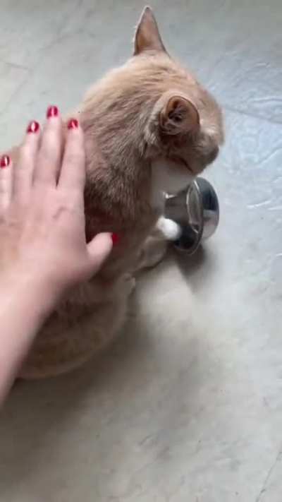 kitty is angry and behaving like angry child!