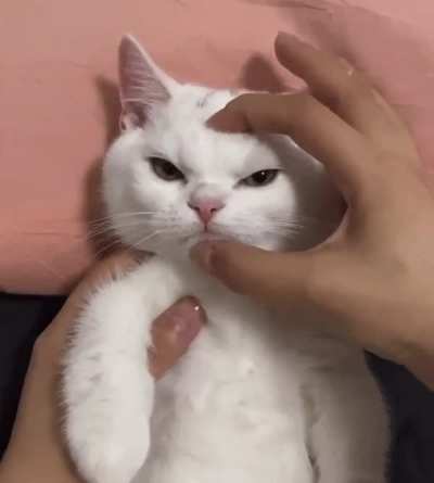 Cute and evil