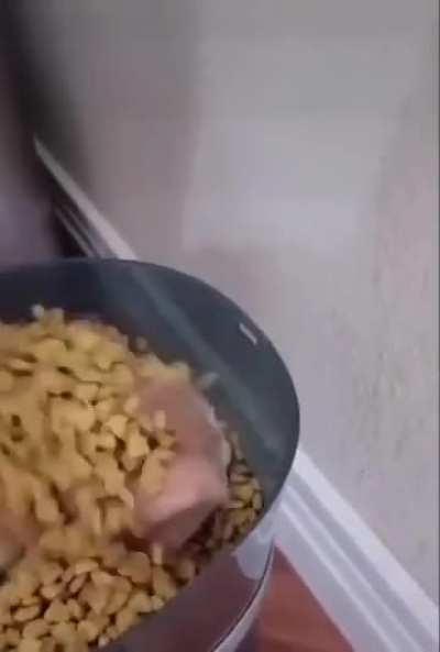 Nom nom