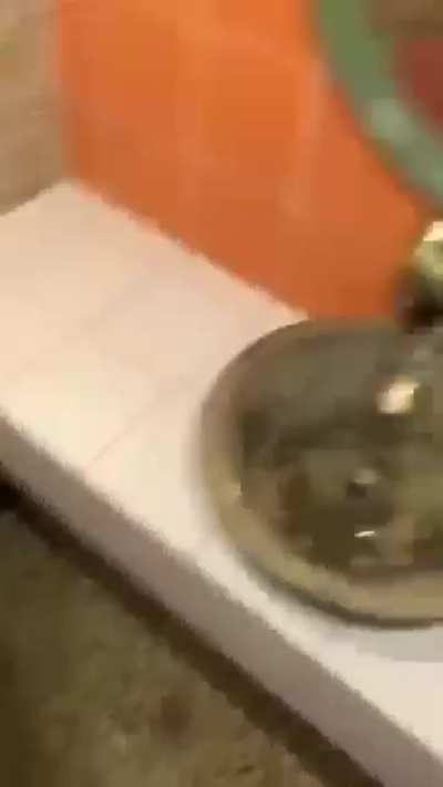 Being an older woman working in the restaurant industry, you run into a few little shits. This pair was extremely rude so I lock myself in the freezer and swap bodies with the guy then I took “my girl” in the bathroom. told her I’d pulled out, but I’m def