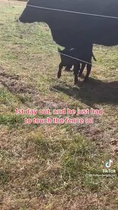 The cutest noise i've ever heard.