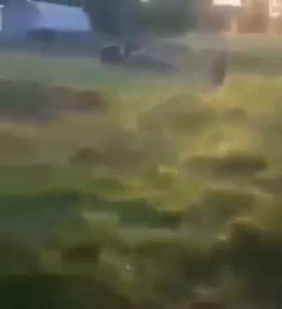 Combustão gratis