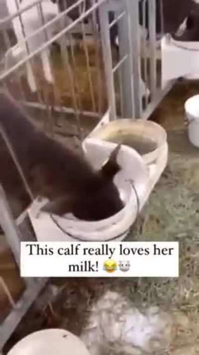 🤣🤣🤣