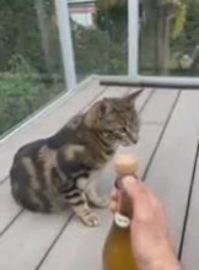 tactical cat orbital warfare